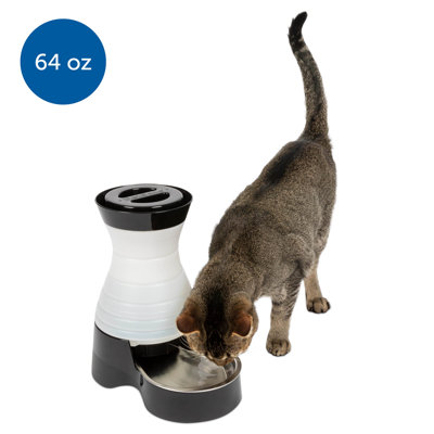 Healthy Pet Water Station