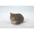 Sleeping Cat Tabby Statue-20595527