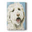 Labradoodle II - galerie Cavas sur mesure-1929277808