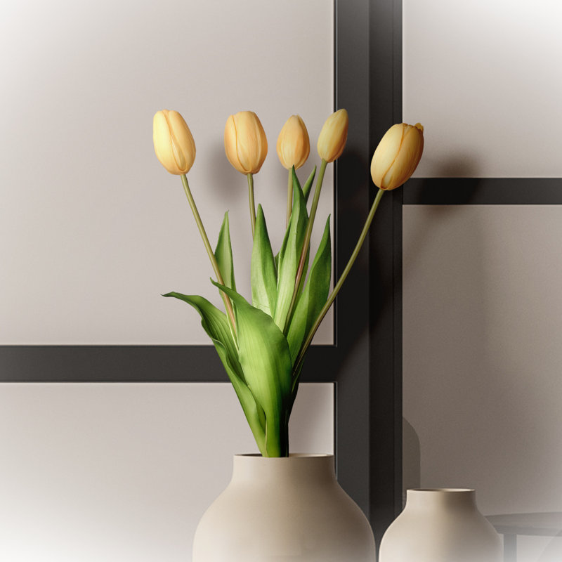 Tige de tulipe douce au toucher, Blanc jaune