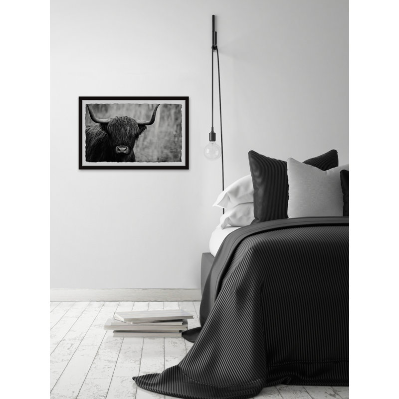 Angus The Highland Cow - Single Picture Frame Print, 61cm H x 91cm W x 3.81cm D