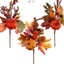 Ensemble de 3 choix de citrouilles d'automne