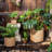 Rattan Texture Cement Planter-408757268