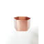 Shantel Metal Pot Planter