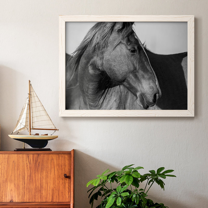 «Flint Hills Wild Horse», reproduction d'un seul cadre photo sur toile, Blanc, H 28 po x l 42 po x P 1,5 po