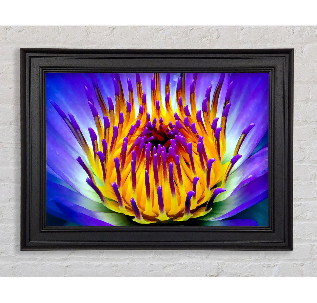 Gerahmtes Leinwandbild Vibrant Purple Water Lily