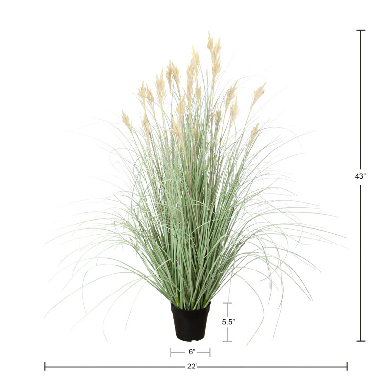 Mini Cattail Drop-In Plant