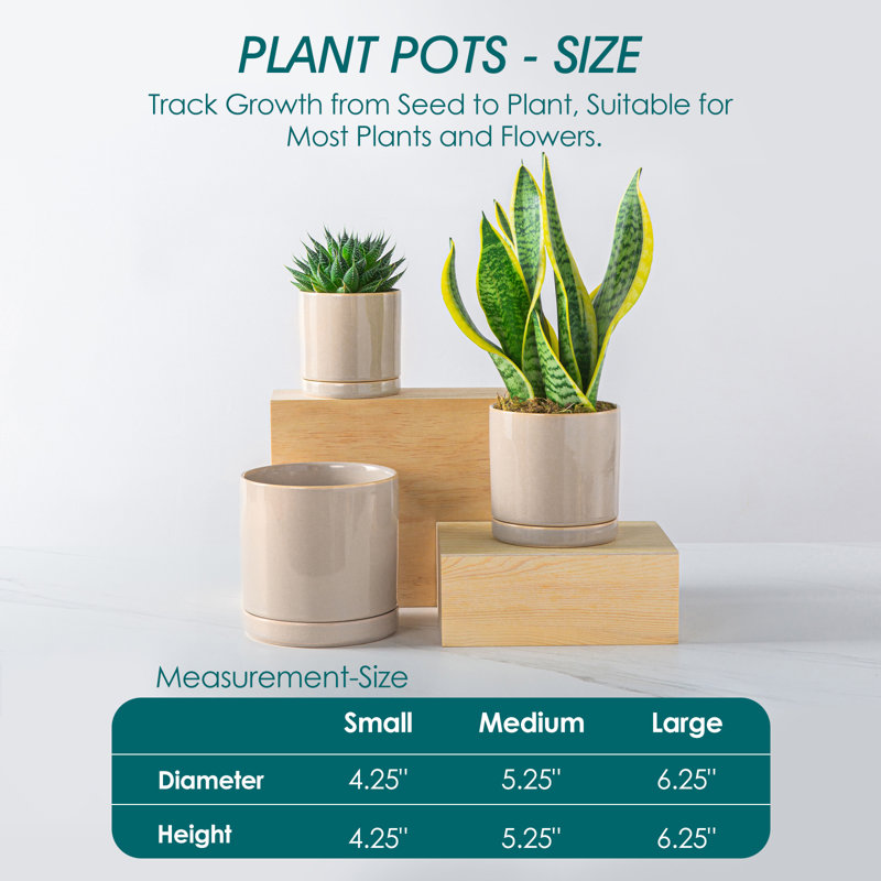 FLHPOT Ceramic Pot Planter, Grey
