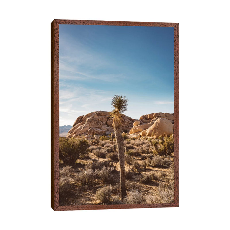 Joshua Tree National Park XVII by Bethany Young - Print on Canvas, Classic Brown Wood Framed