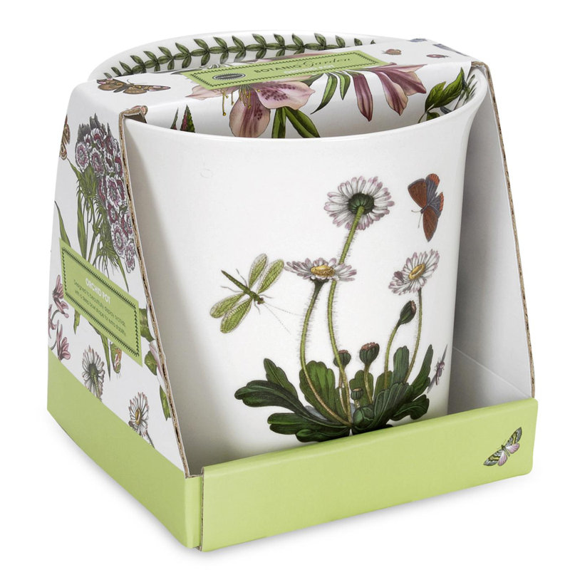 Botanic Garden Orchid Pot