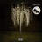Weeping Willow Tree Lighted Display-1921296075-1921288043