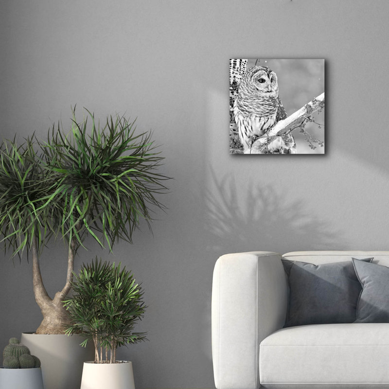 «White Owl» par PhotoINC Studio, H 18 po x l 18 po x P 0,75 po