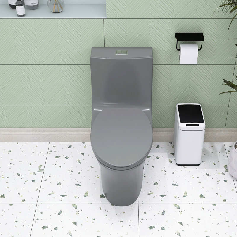 One Piece Toile 1.1/1.60 GPF Dual-Flush Water-Saving Elongated Comfort Height Floor Mounted, Soft Closing Seat, 1000 Gram Map Flushing Score Toilet Inlight Grey