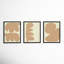 Component. Set Of 3 by Michael Kempen-1430930955-1430930954