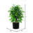 48'' Faux Tree in Pot