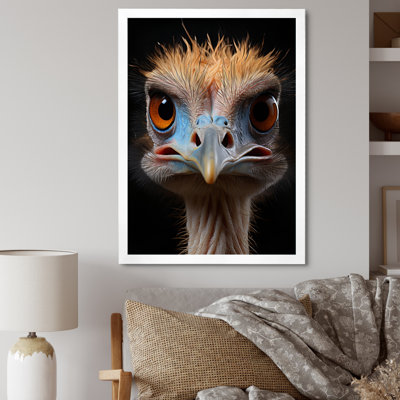 African Ostrich Portrait - Ostriches Wall Art