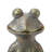 Caleb Frog Magnesium Oxide Garden Statue