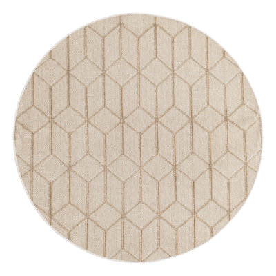 Indoor/Outdoor Trellis Area Rug