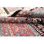 Oriental Area Rug in Black