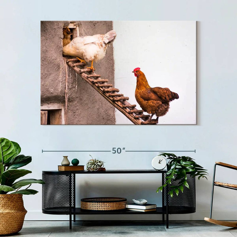 Brampt Chicken Coop, 34" H x 51" W