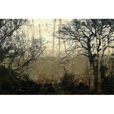 Wooded Solace II - Wrapped Canvas Painting