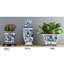 Handmade Ceramic Planter