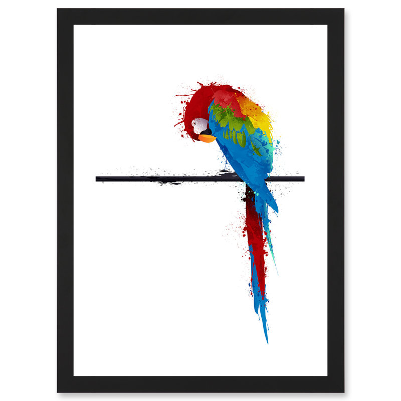 Paint Splat Parrot Bird Nature - Single Picture Frame Art Prints