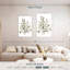 Eucalyptus neutre Harnek II-108520820