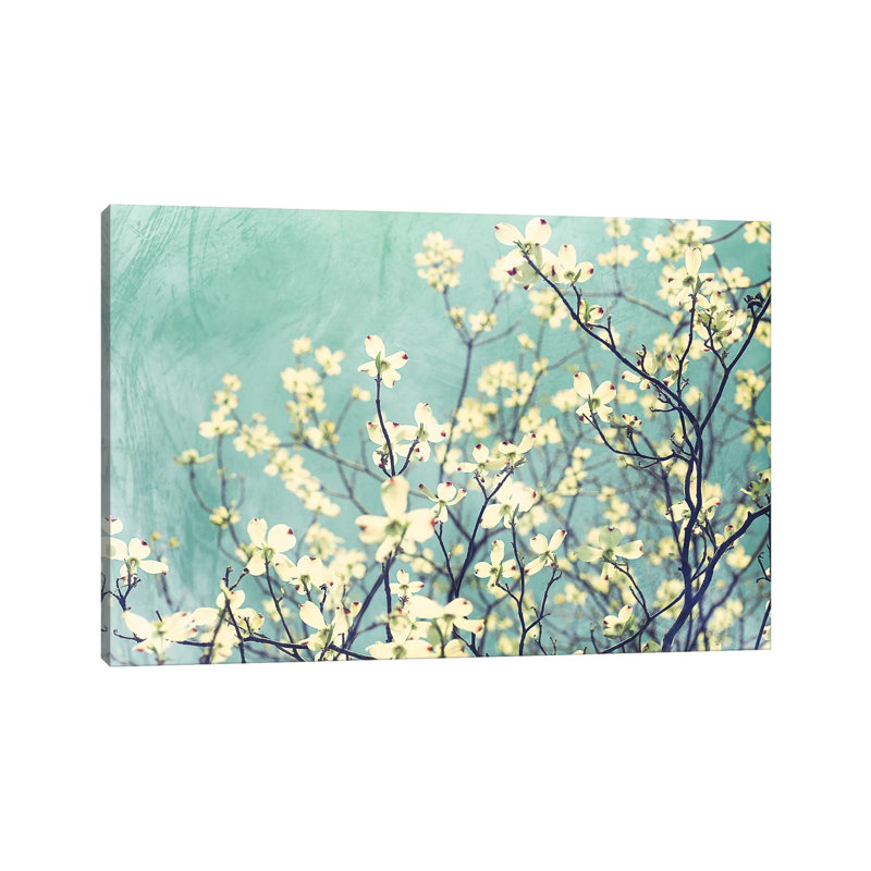 Pure by Ann Hudec - Wrapped Canvas Print, 20.32cm H x 30.48cm W