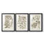 Sépia Botanical Journal I - Impression encadrée sur mesure de qualité supérieure - 3 pièces-1407791424