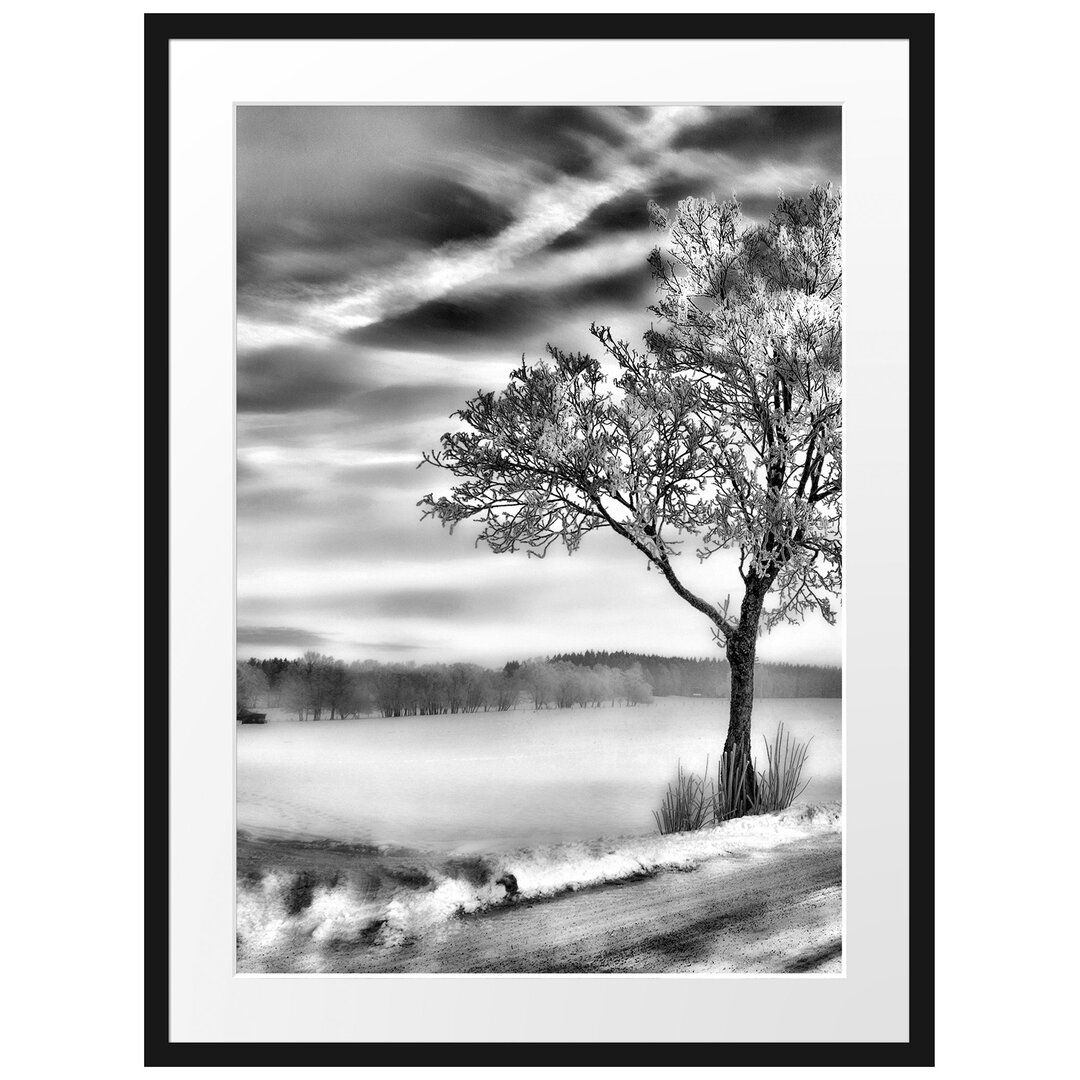 Gerahmtes Poster Baum im Schnee