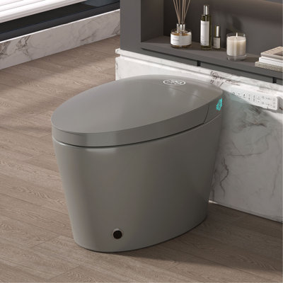 Toilette intelligente avec bidet intégré, toilette de bidet avec siège chauffant, coup de pied de pied, eau chaude et sécheuse, veilleuse, chasse d'eau automatique, douchette de 12 po, télécommande