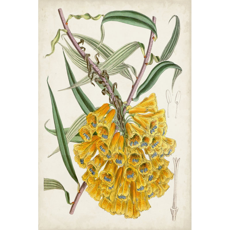 Delicate Tropicals VI par Curtis - peinture sur toile tendue, H 12 po x l 8 po