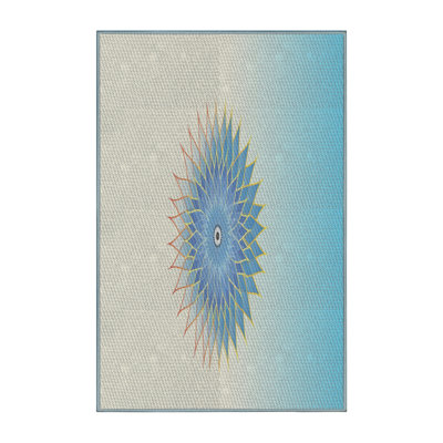 Indoor Rug