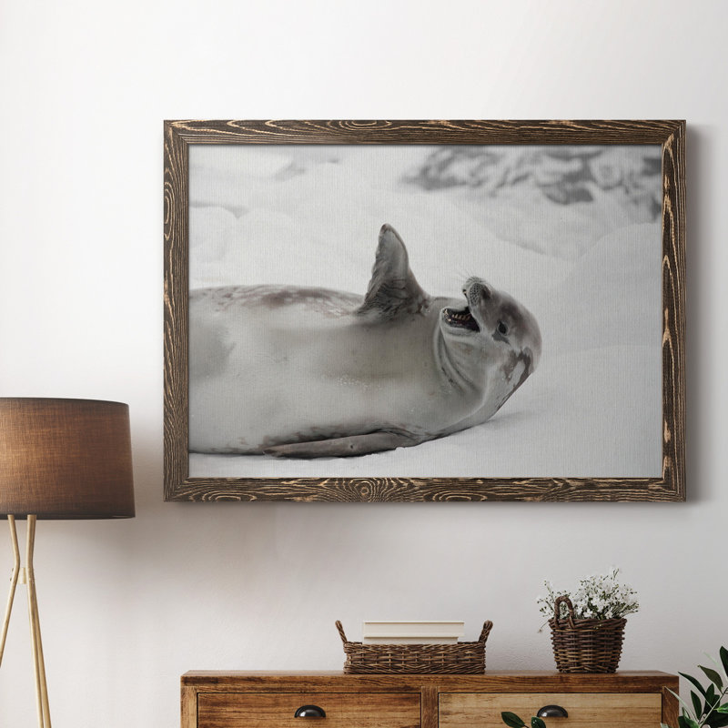 Laughing Seal - photographie encadrée sur toile, Érable, H 31,5 po x l 23,5 po x P 1,5 po
