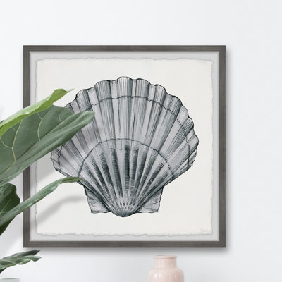 «Pretty Grey Shell», reproduction encadrée