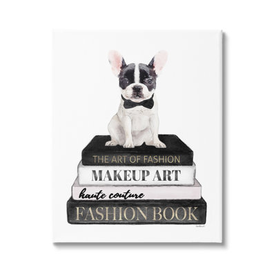 Fancy Boston Terrier