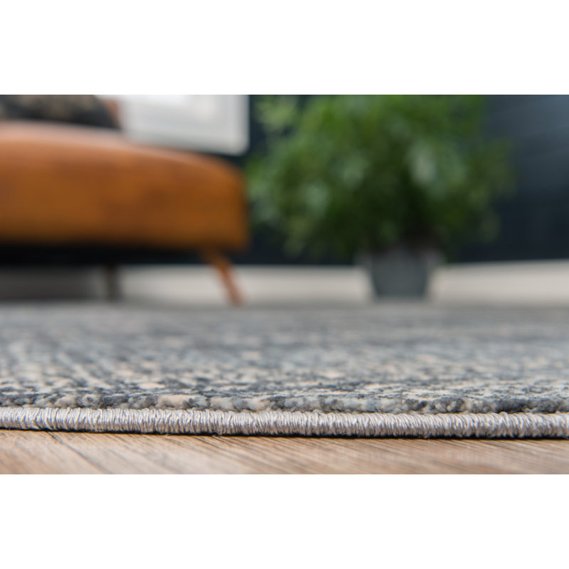 Tapis gris à chevrons Ianmichael, Rectangle 4 pi 1 po x 6 pi 1 po