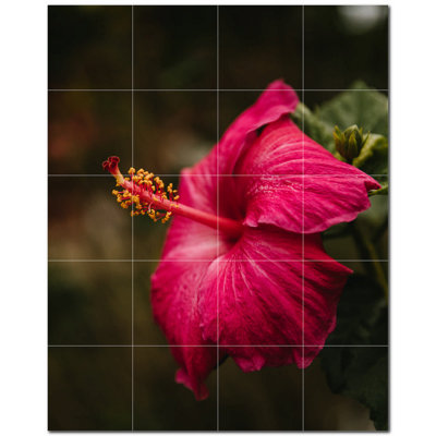 8'' x 8''