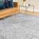 Deundre Indoor Rug