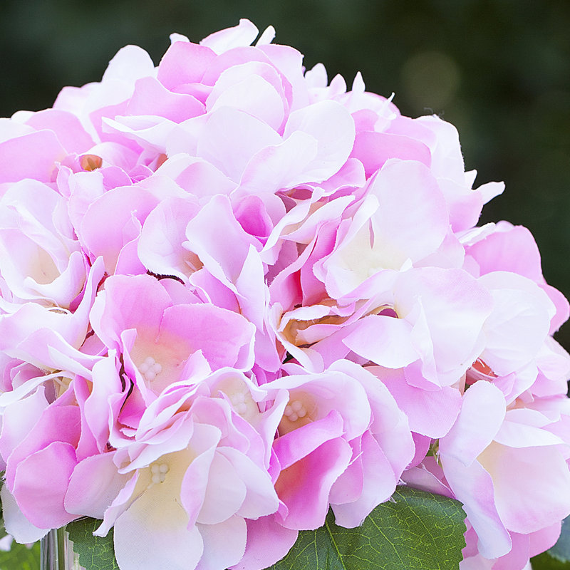 Arrangement floral d'hortensia en soie artificielle dans un vase en verre avec de l'eau artificielle, Rose