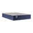 Sealy Dudley Chase 14.5" Medium Tight Top Innerspring Mattress-113658009