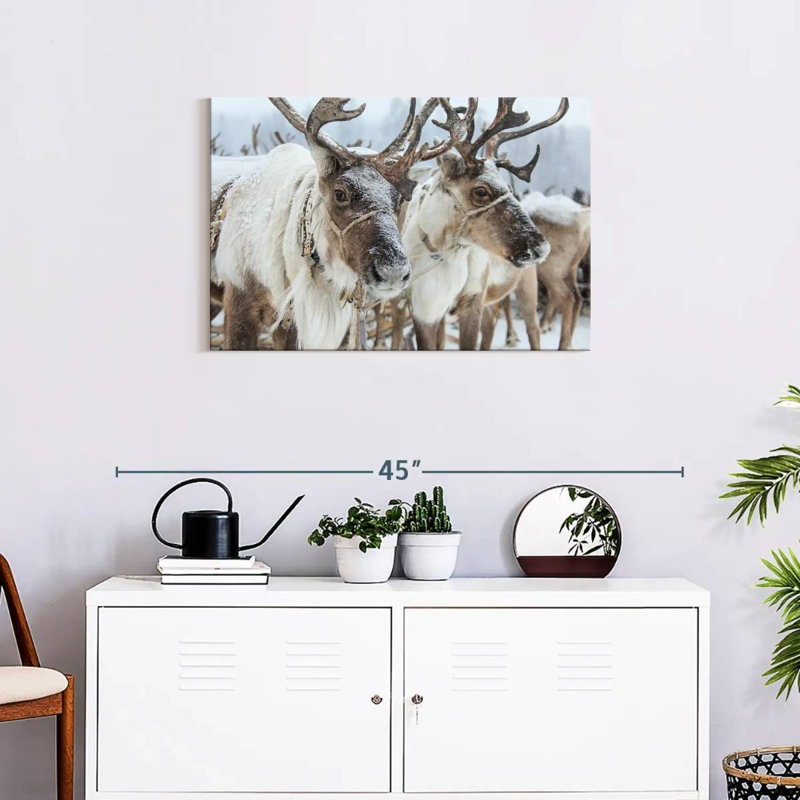 Snow Reindeer, 20" H x 30" W