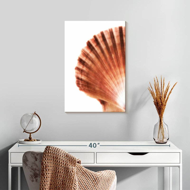 Scallop seashell ii Aletra, H 24 po x l 16 po