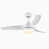 White is out of stock selected