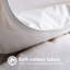 Édredon en coton standard Jenele-464324482-464324487
