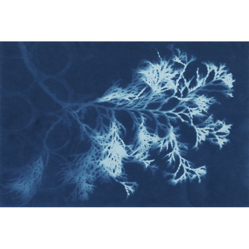 Cyanotype No.4 by Renée W. Stramel - Wrapped Canvas Print, 30cm H x 46cm W x 3.8cm D