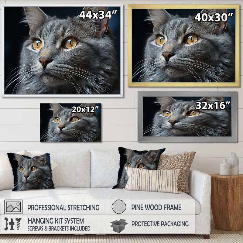 «Chartreux Contemplation Cat Eyes I», reproduction d'art mural, H 16 po x l 32 po x P 1 po, Cadre simple argenté