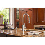 Contemporary Plp Pulldown Faucet - Lever Sprayer
