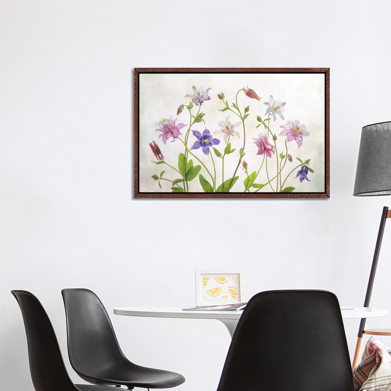 Columbine by Mandy Disher - Print on Canvas, 66.04cm H x 101.6cm W x 3.81cm D, Classic Brown Wood Framed